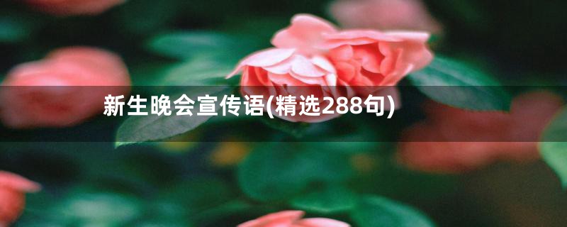 新生晚会宣传语(精选288句)
