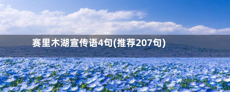 赛里木湖宣传语4句(推荐207句)