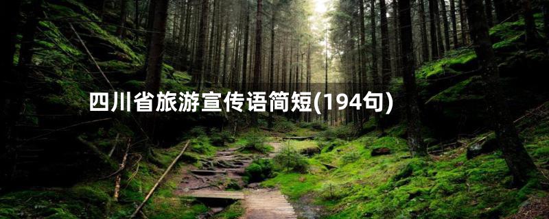 四川省旅游宣传语简短(194句)
