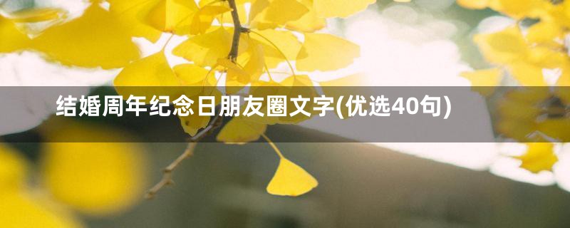 结婚周年纪念日朋友圈文字(优选40句)