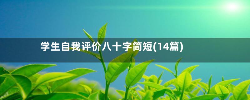 学生自我评价八十字简短(14篇)