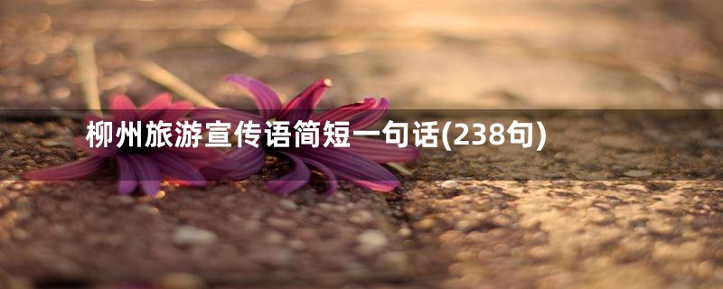 柳州旅游宣传语简短一句话(238句)