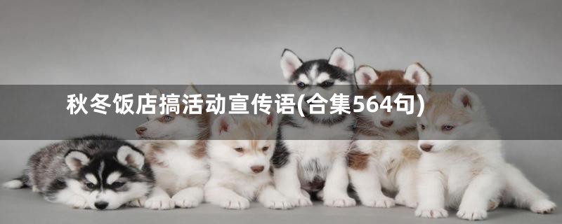 秋冬饭店搞活动宣传语(合集564句)