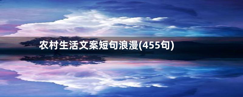 农村生活文案短句浪漫(455句)