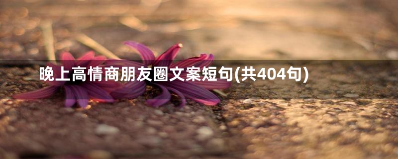 晚上高情商朋友圈文案短句(共404句)