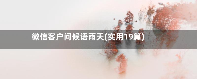 微信客户问候语雨天(实用19篇)