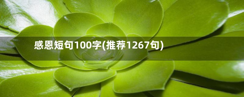 感恩短句100字(推荐1267句)