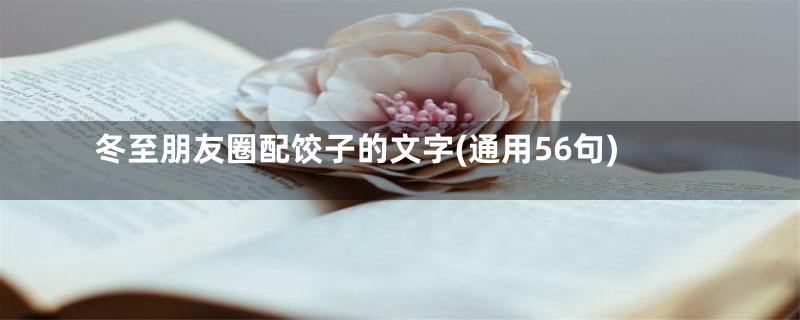 冬至朋友圈配饺子的文字(通用56句)