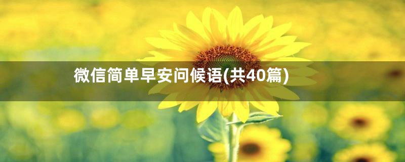 微信简单早安问候语(共40篇)