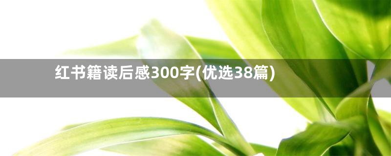 红书籍读后感300字(优选38篇)