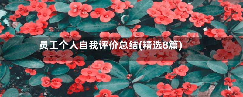 员工个人自我评价总结(精选8篇)